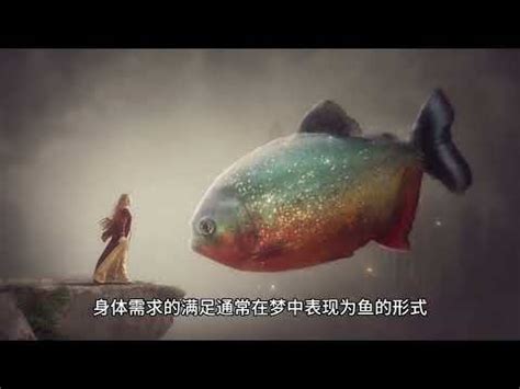 魚代表數字|【夢見魚號碼】夢境神諭！夢見魚的秘密數字揭曉